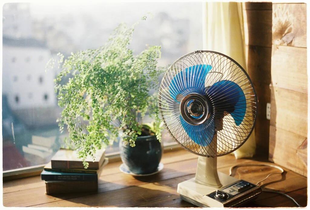 Dónde debería poner el ventilador para que refresque mejor mi casa 