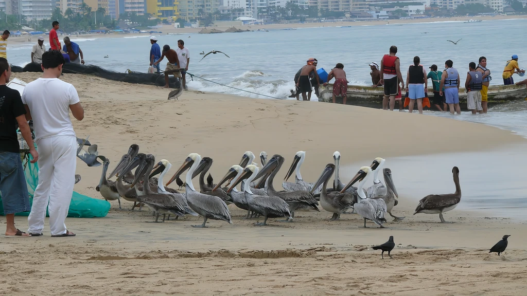 Vacaciones de Semana Santa 2025: Cofepris lanza aviso de estás seis playas contaminadas con heces fecales en México 