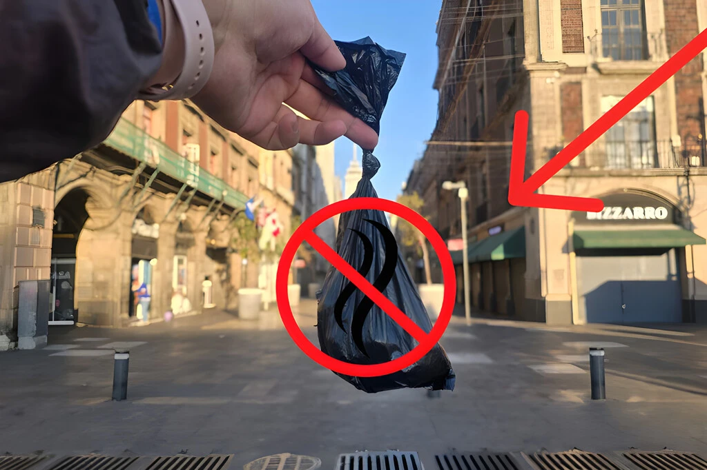 Pocos lo saben, pero esta es la manera correcta de deshacerte de las heces de tus perritos