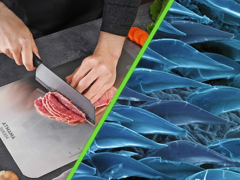 Científicos crearon superficies para cocina anti microbios con el método menos esperado: imitaron la piel de los tiburones 
