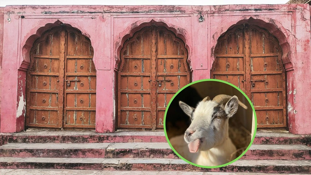 La Paradoja de Monty Hall: el problema con el que habrías ganado en la catafixia de Chabelo 