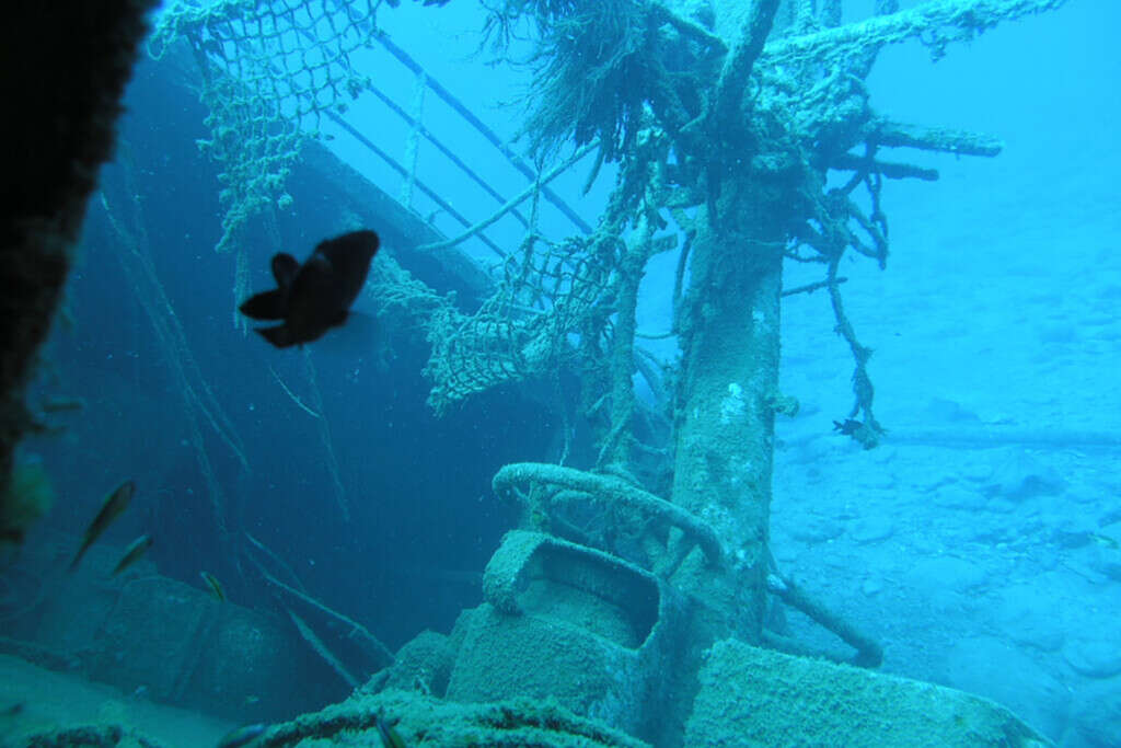 Un barco español se hundió con 20 mil millones de dólares: ahora México y Colombia quieren traer este tesoro  