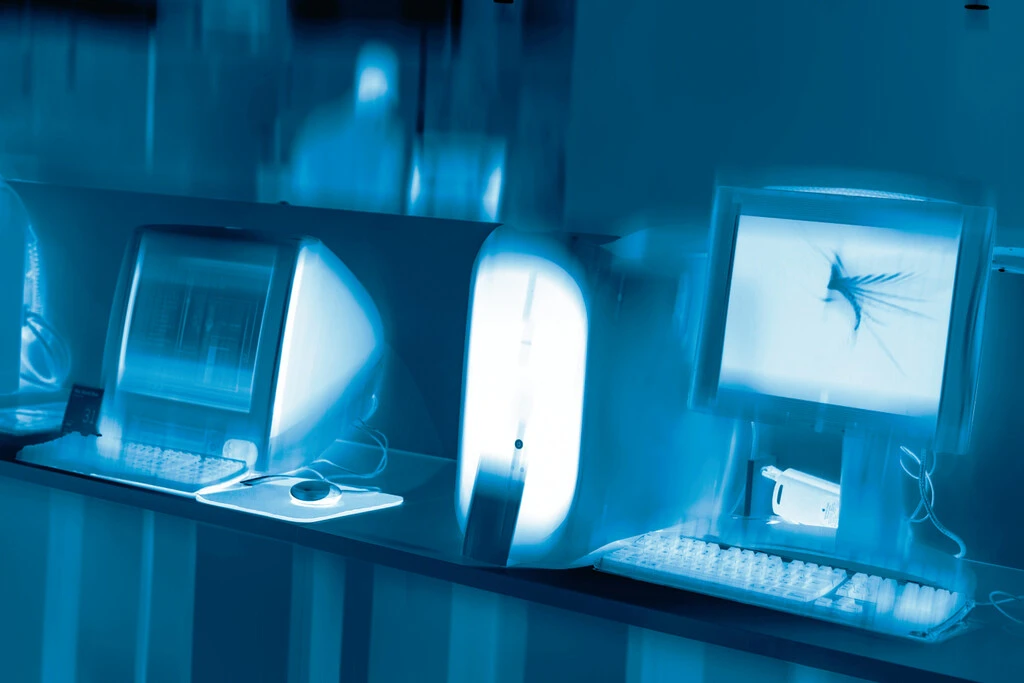 Tener este apellido es una pesadilla digital: así castigan las computadoras a quienes lo llevan 