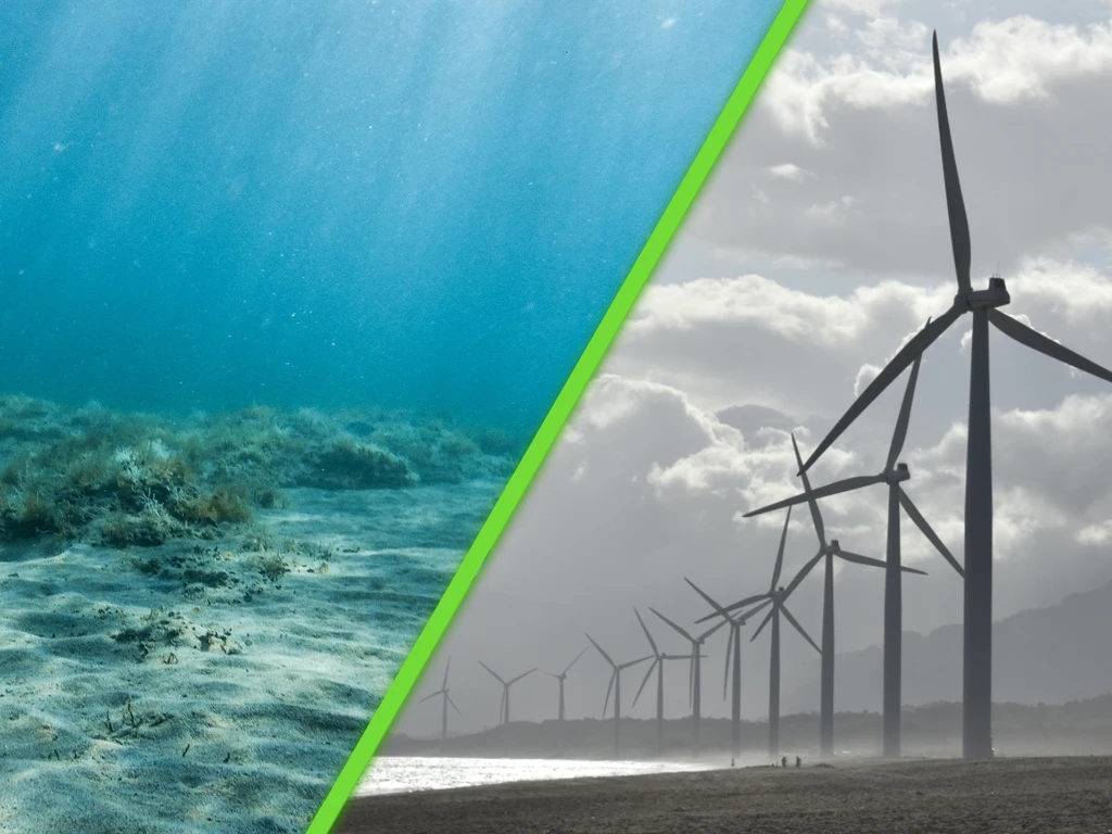 Hemos descubierto uno de los mayores tesoros jamás encontrados en el océano: nos dará 45,000 toneladas de hidrógeno verde al año 