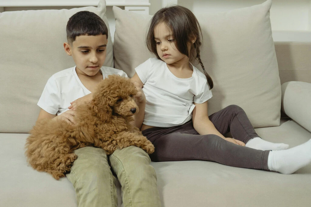 En CDMX ya no podrán negarte vivienda por tener hijos o mascotas: esta es la reforma histórica que cambiará todo 