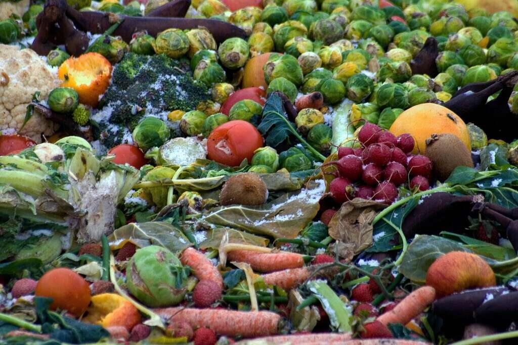 Corea del Sur recicla el 97% de sus residuos alimenticios, su clave es tan sencilla, como efectiva: pagas por hacerlo o te multan 