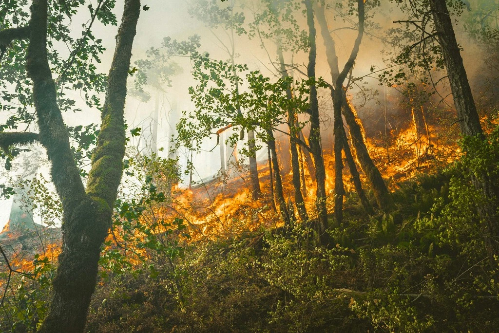Los incendios arrasan muchos lugares de España y del mundo. He descubierto un mapa de la NASA esencial para informarme de todo 