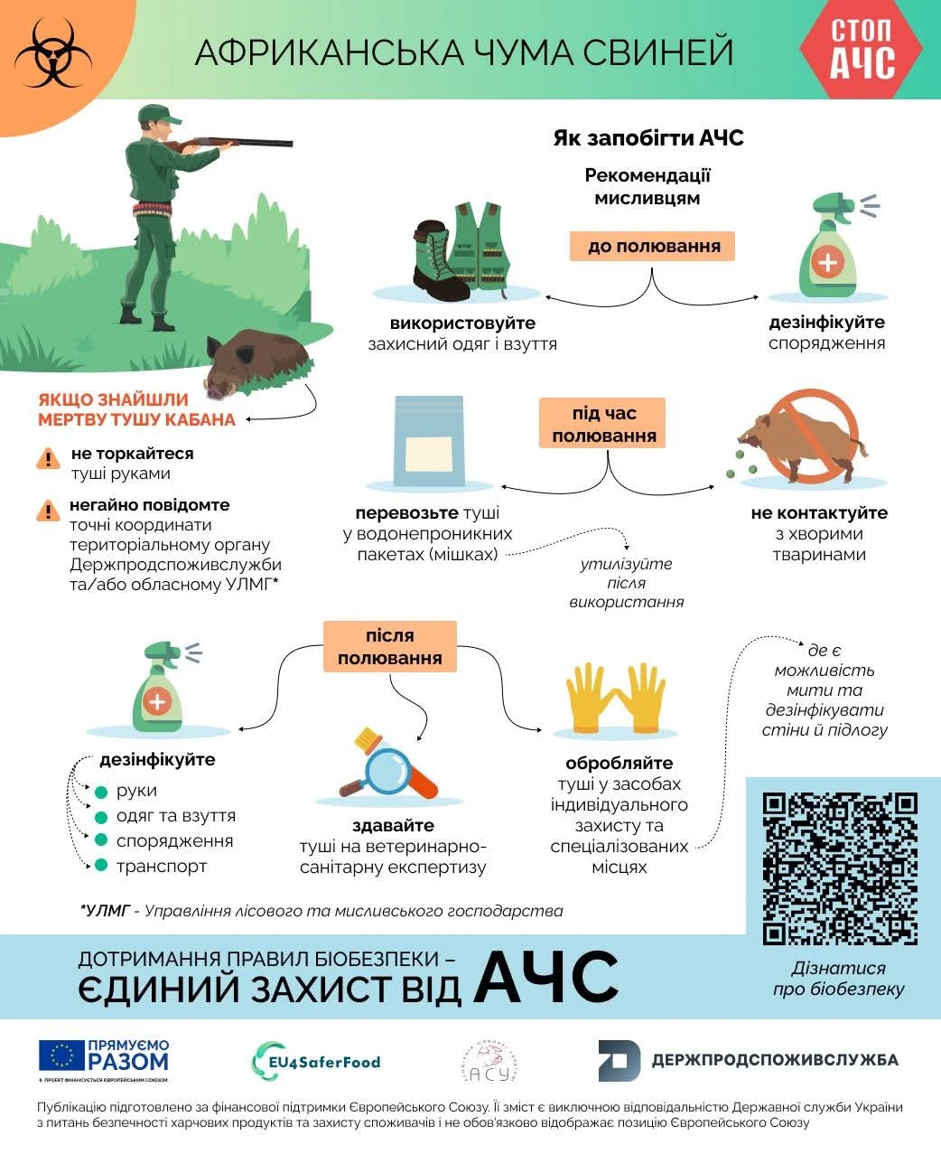 Негайно зробіть це, якщо знайшли в лісі мертвого кабана. Мисливців попередили про африканську чуму
