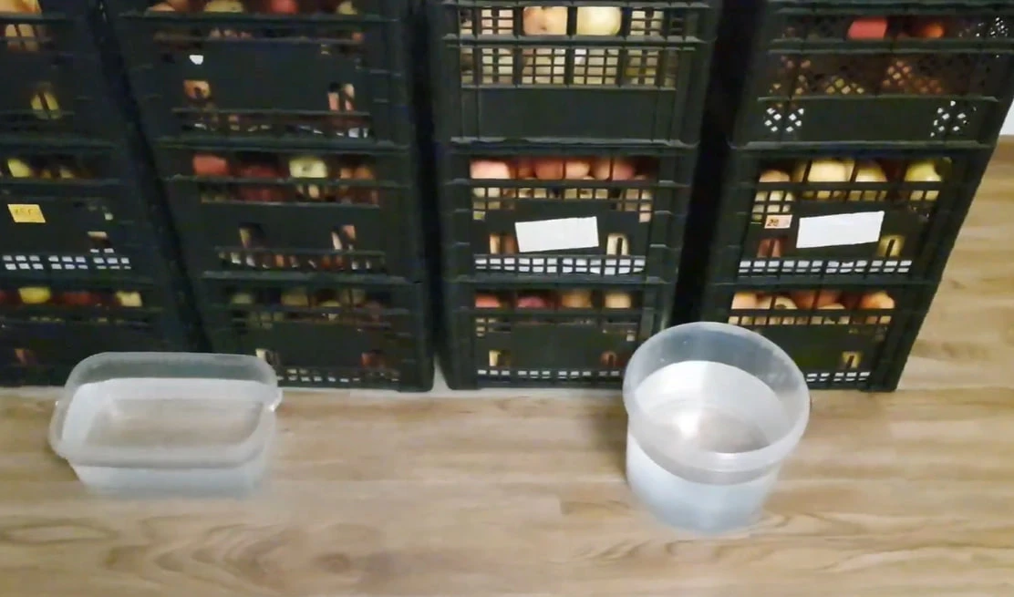 Поставте це в льосі поруч із яблуками – і вони будуть соковитими до самої весни. Секрет досвідчених садівників