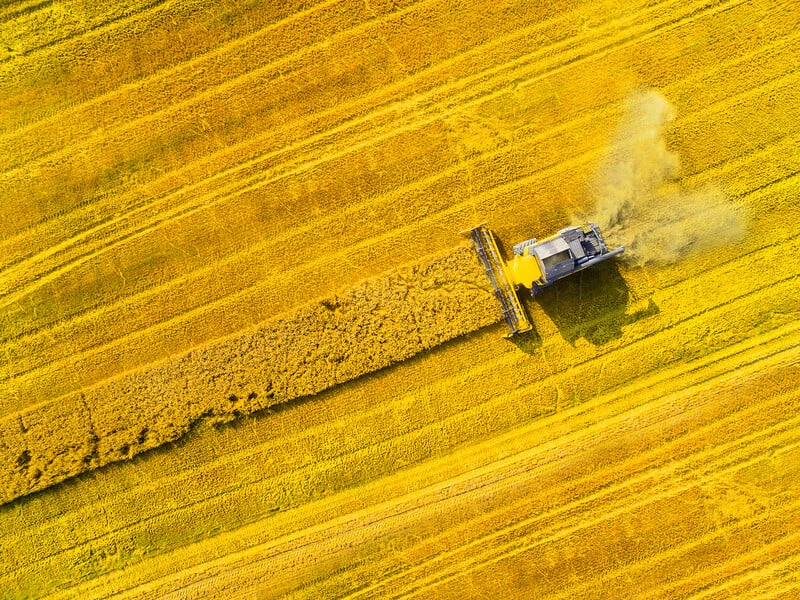 Підвищення експортного мита на сою і ріпак зашкодить довірі до України і інтеграції з ЄС – експерти