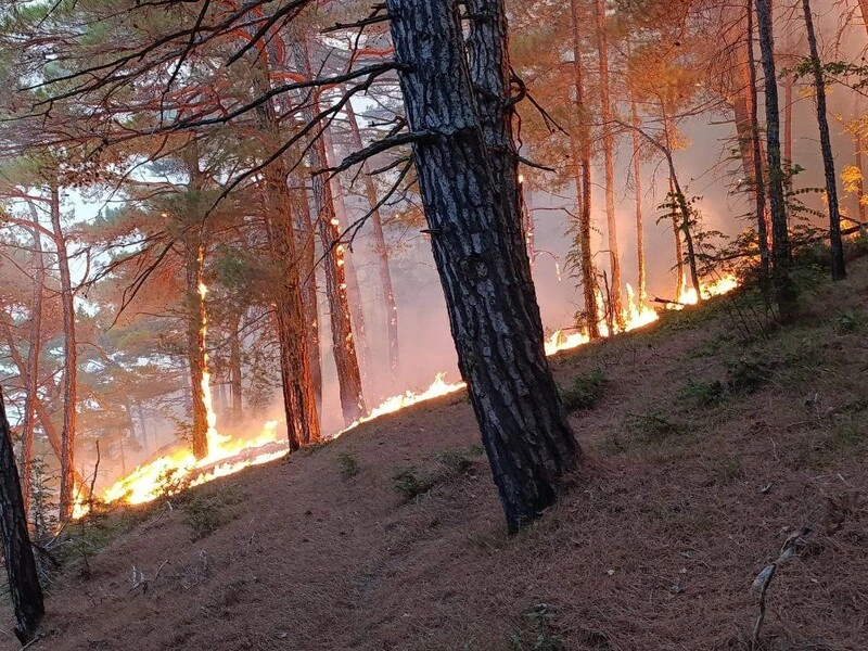 Український дрон спричинив пожежу поряд із палацом Путіна в Геленджику
