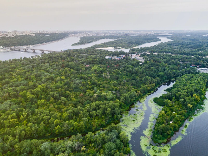 Компанія 