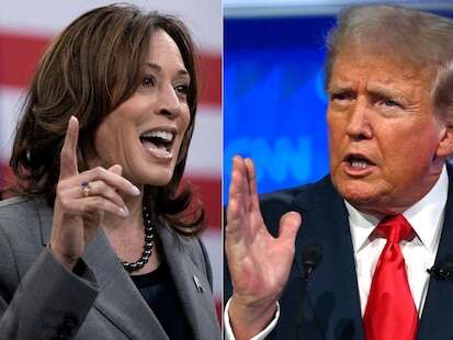 Présidentielle américaine : Harris-Trump, que disent les derniers sondages ?