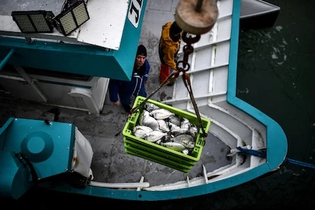 Océans : que faire face à la pêche industrielle et l’élevage intensif ?