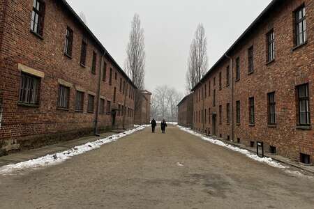 A Auschwitz, des lycéens secoués par les chambres à gaz : 