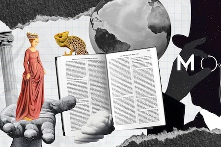 Femme, girafe, magasin… Cinq folles histoires de la langue française en vidéos