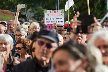 Loi Duplomb : que sait-on vraiment des effets neurologiques des pesticides néonicotinoïdes ?