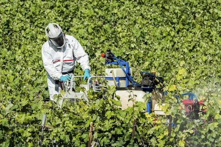 Polluants dans nos assiettes : 