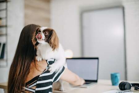 Le chien a-t-il sa place au bureau ? Le 