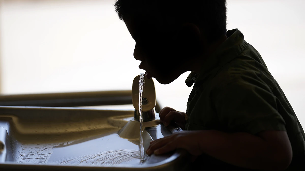 Fluoride in drinking water has no effect on IQ or brain function, long-term study shows