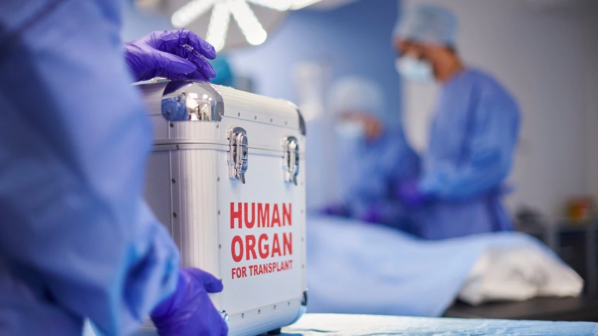 People who donate kidneys to strangers would get $50K tax credit if this law passes