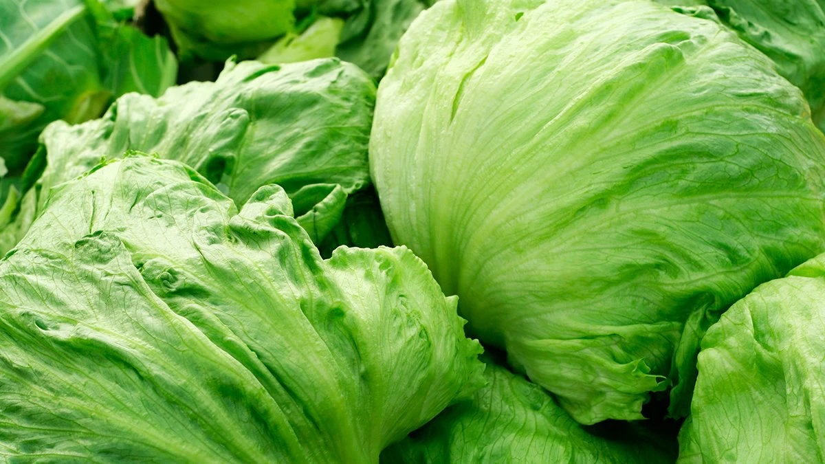 FDA says Taylor Farms cyclospora finding was a false positive, investigation continues