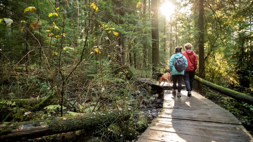 Experts Predict Explosive Tick Season This Year: How to Stay Safe