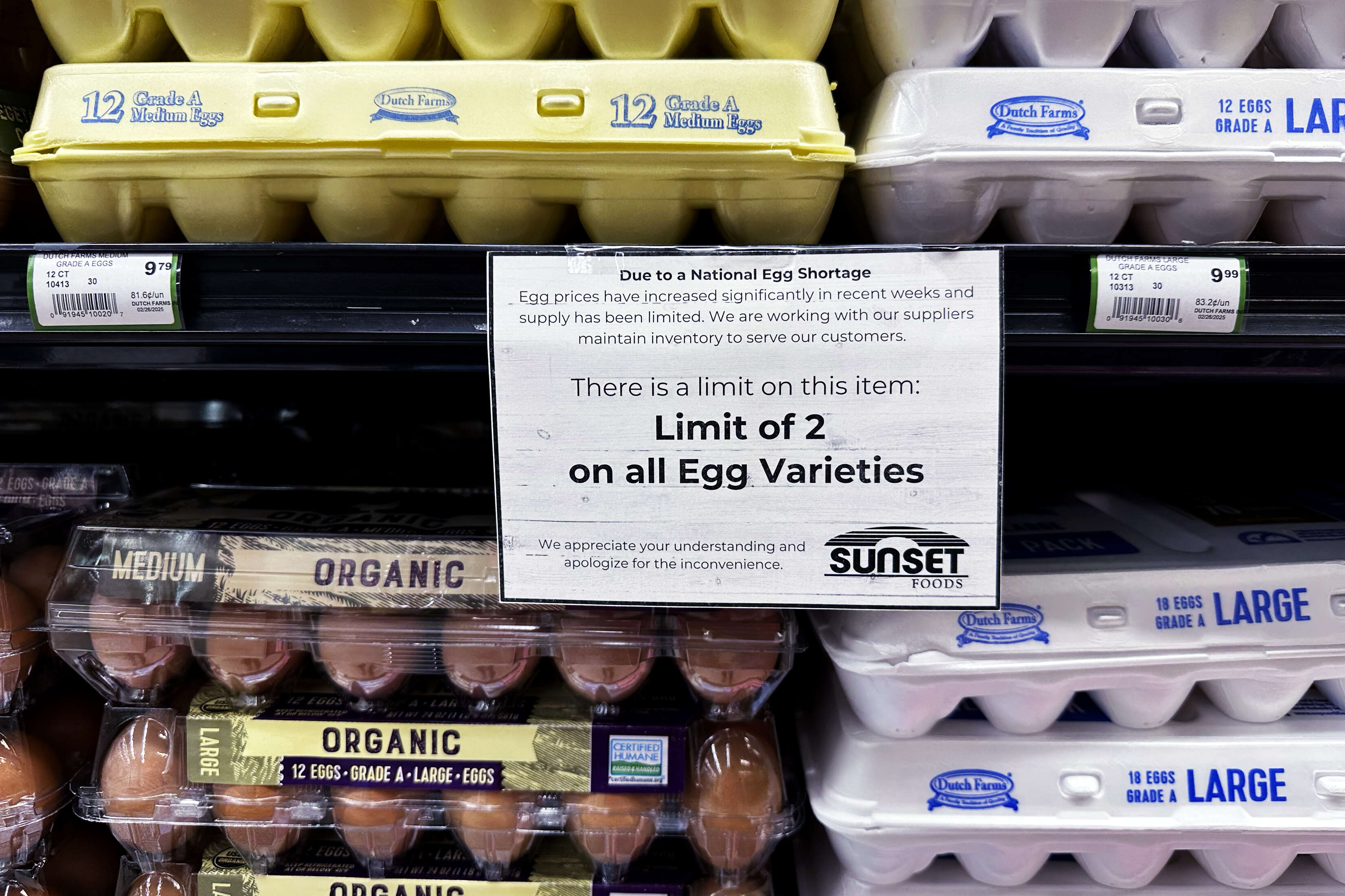 Vaccinating poultry could help cut soaring egg prices but US remains hesitant