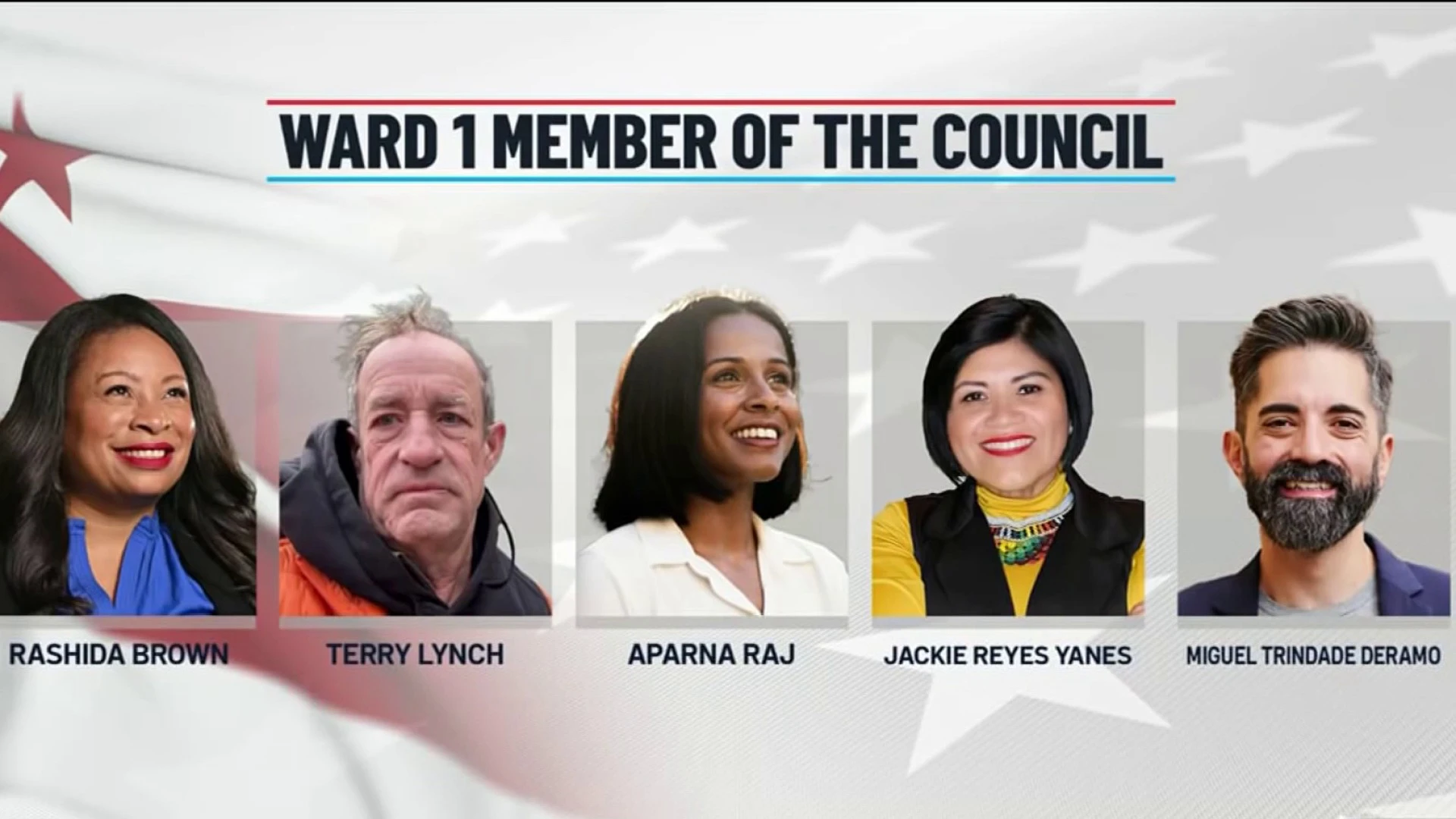 What to know about the special election for an at-large seat on the DC Council