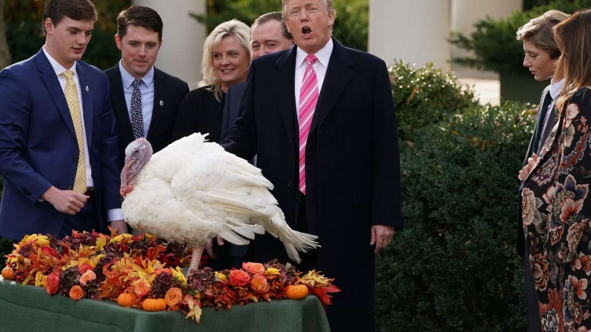 Why do presidents pardon turkeys at the White House every Thanksgiving?