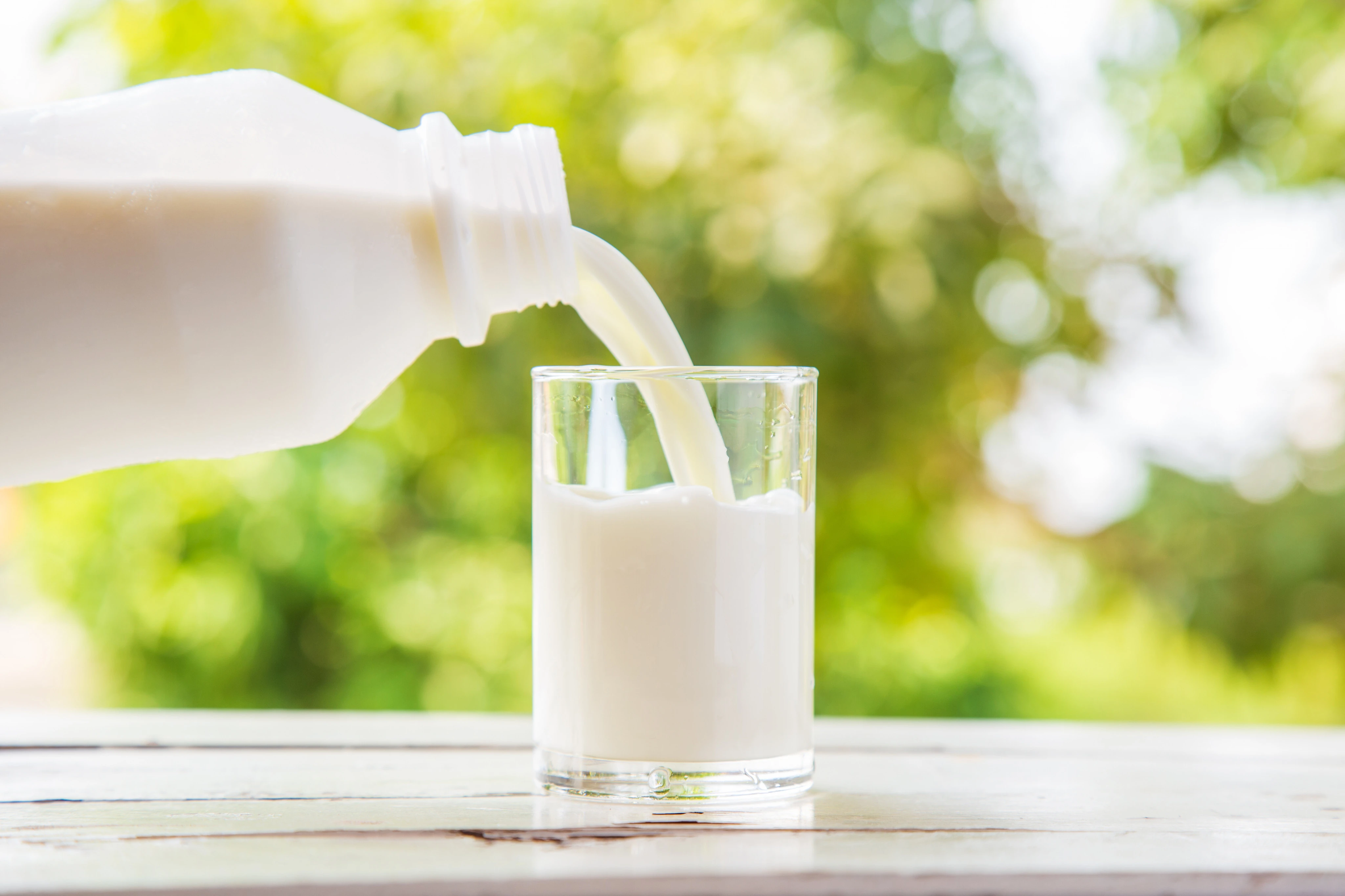 Push for raw milk intensifies despite illness outbreaks and scientists' warnings