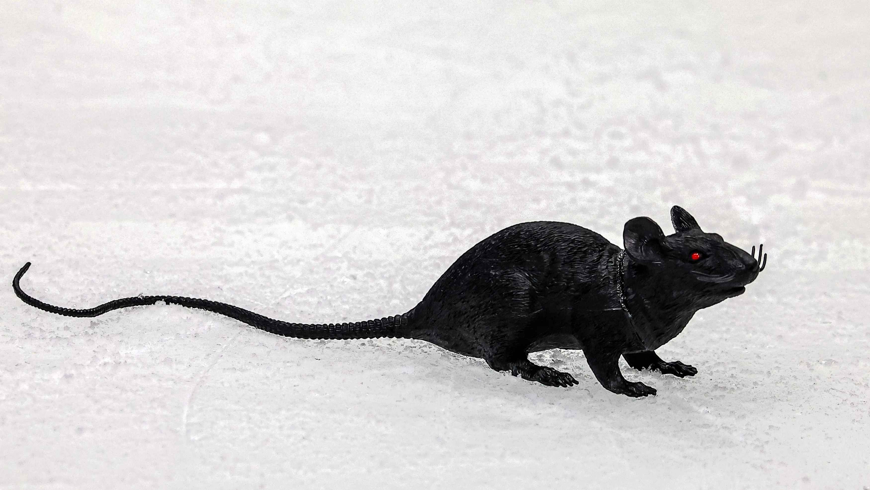 As Panthers and Oilers meet again, how many Cup Final rematches have there been?