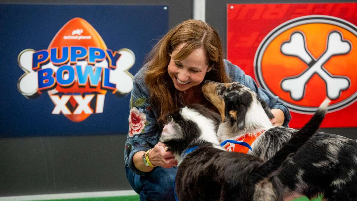 Meet the woman keeping the adorable pups happy at this year's ‘Puppy Bowl'