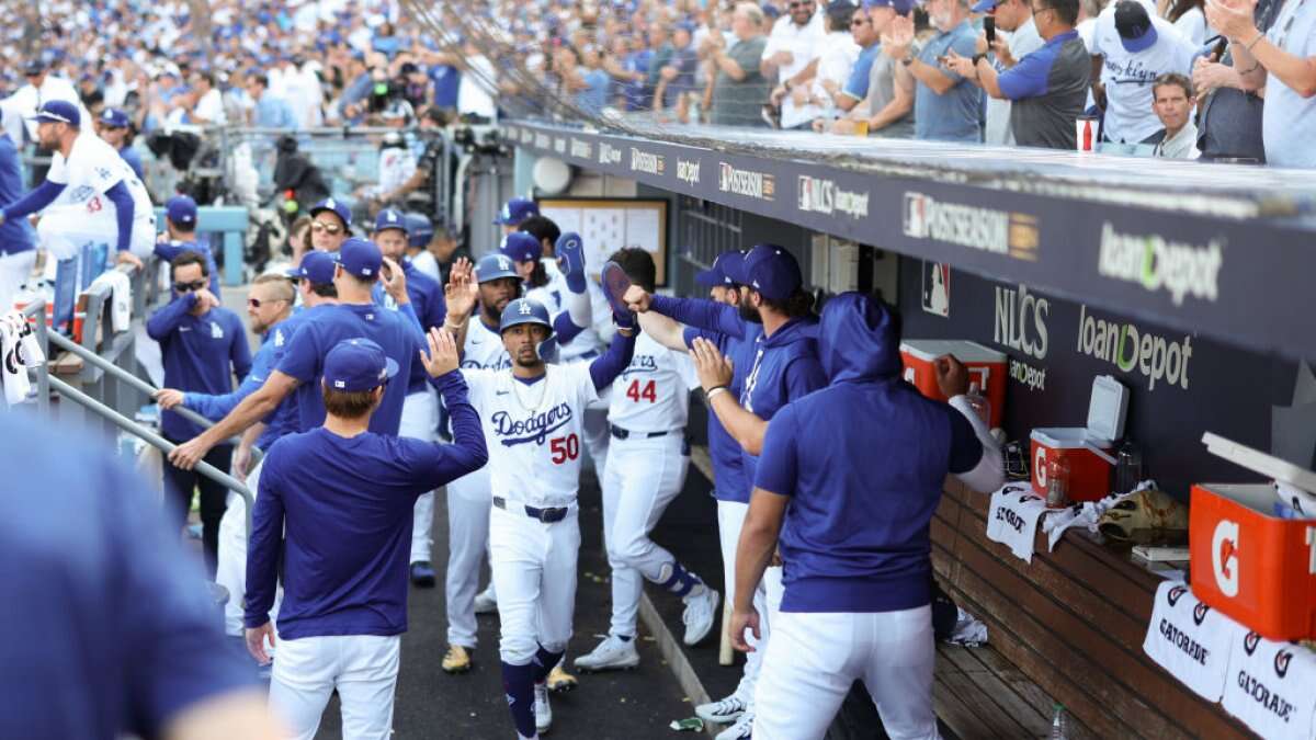 Watch: Wild snake slithers into Dodgers' dugout in Game 2 of NLCS vs. Mets