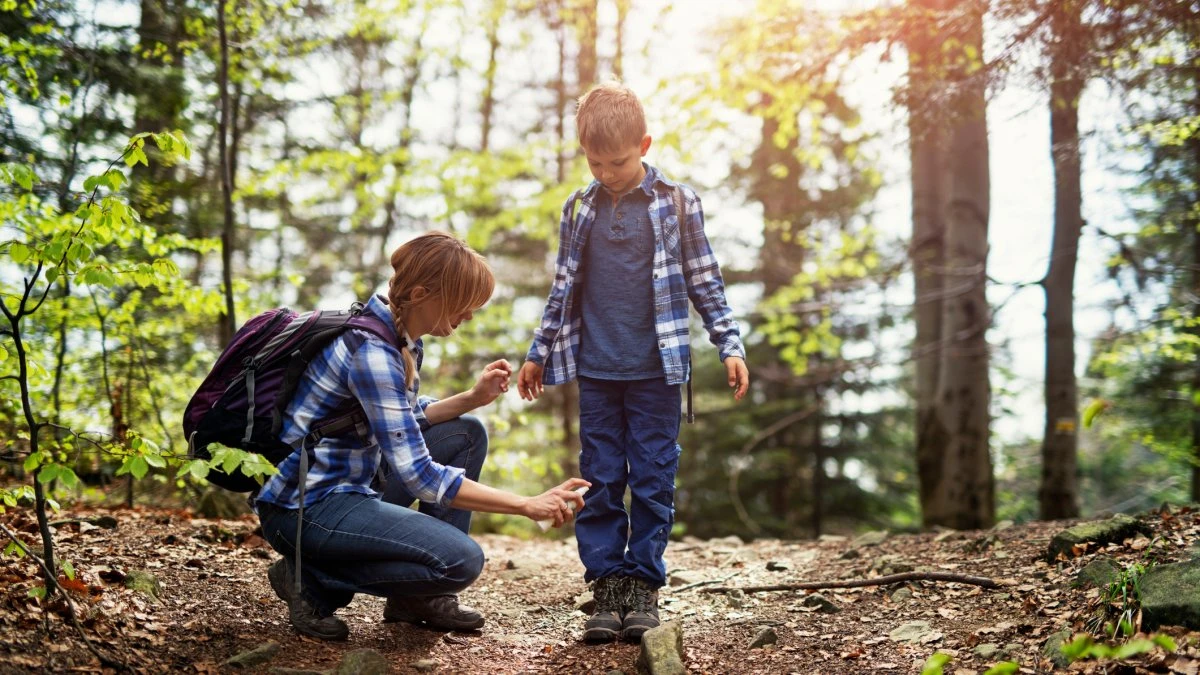 What to know about Lyme disease and how to keep safe during a ‘hot tick year'