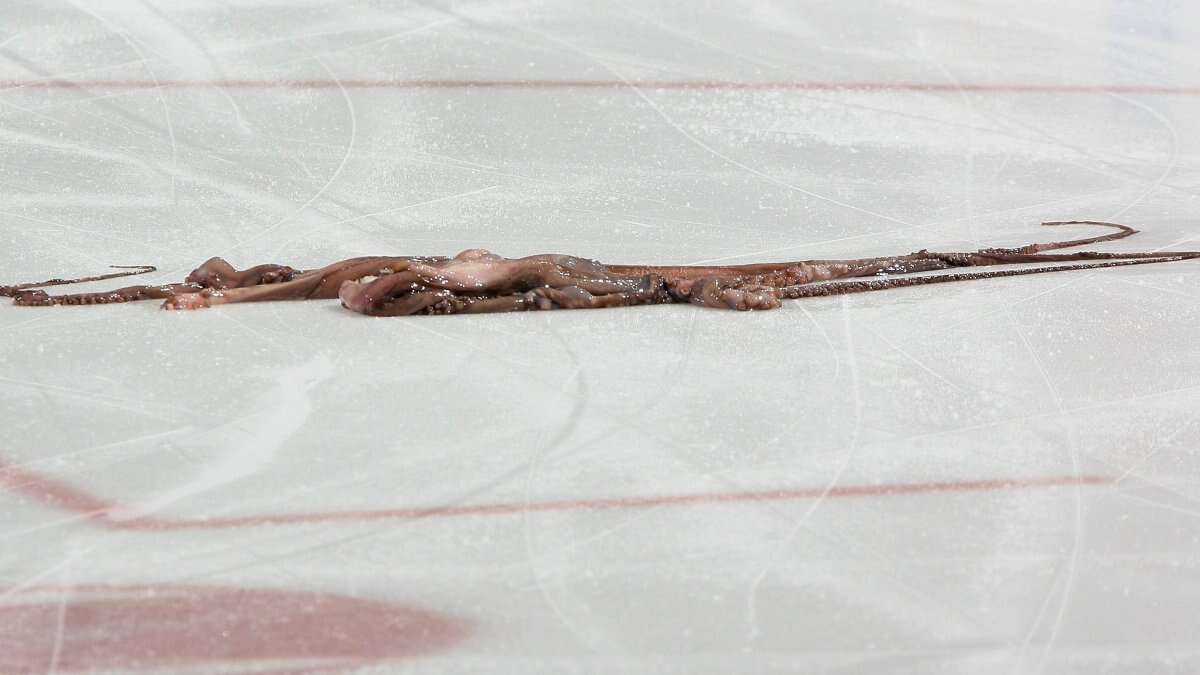 Why do Red Wings fans throw octopuses on the ice?