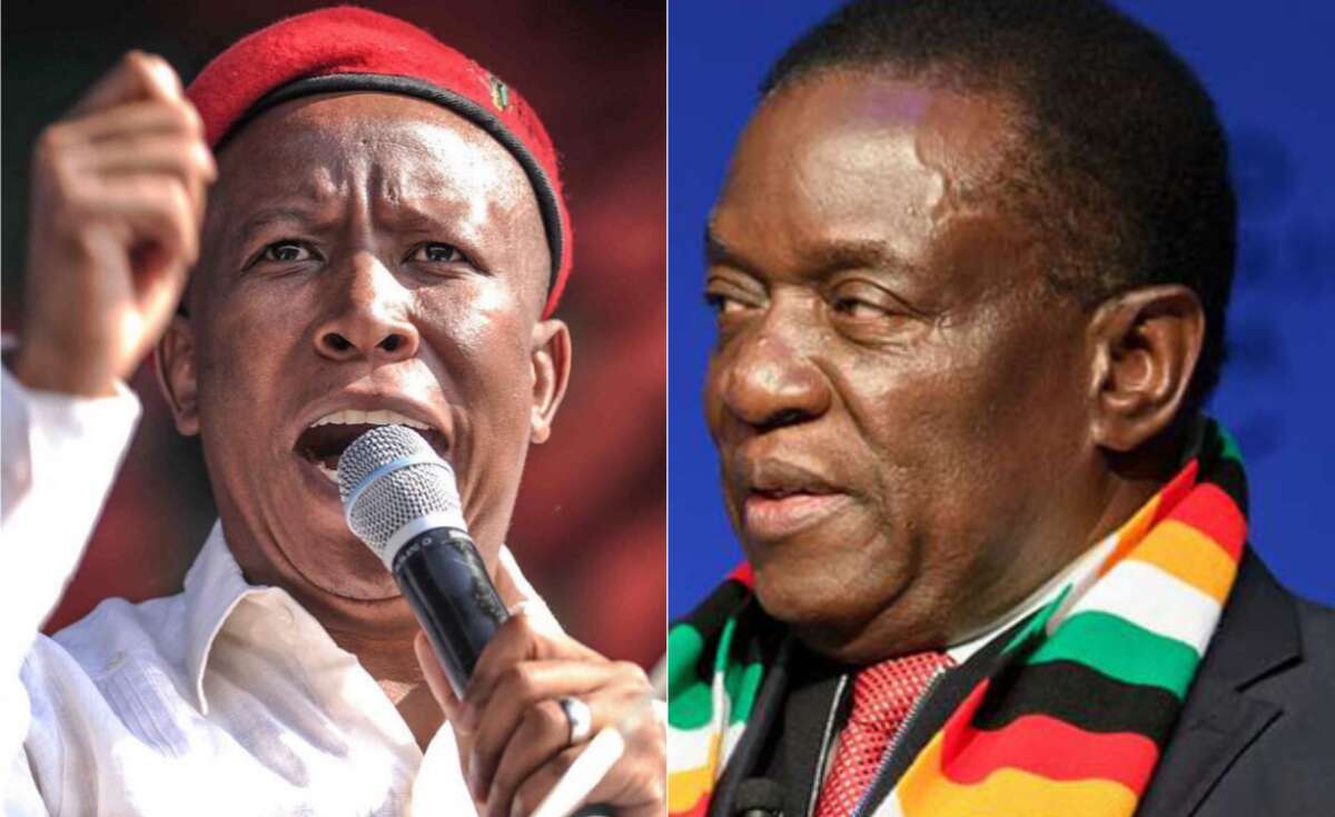 Zanu-PF Slams Malema for 