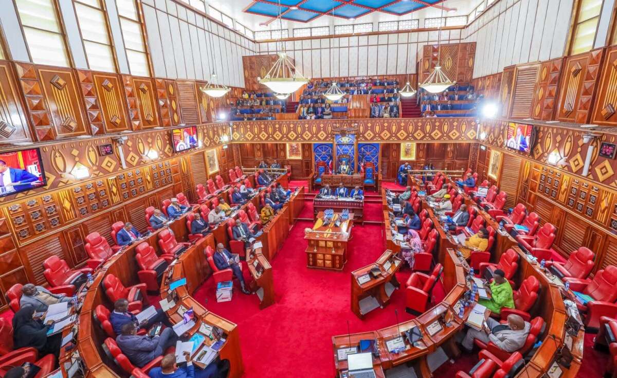 Kenya's Senate Email Crashes Amid Public Outcry Over Term Limits