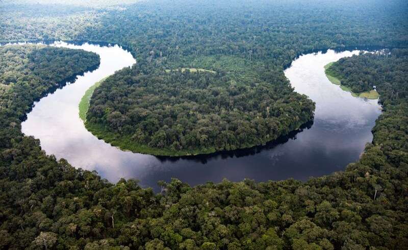 Why is the World's Largest Carbon Sink, the Congo Basin, at Risk?