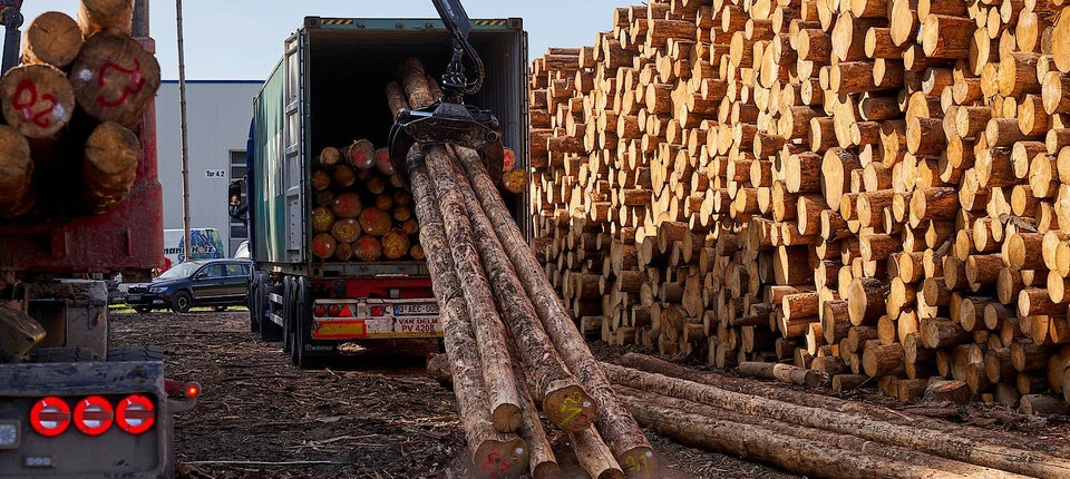 Deutsches Holz für die Welt