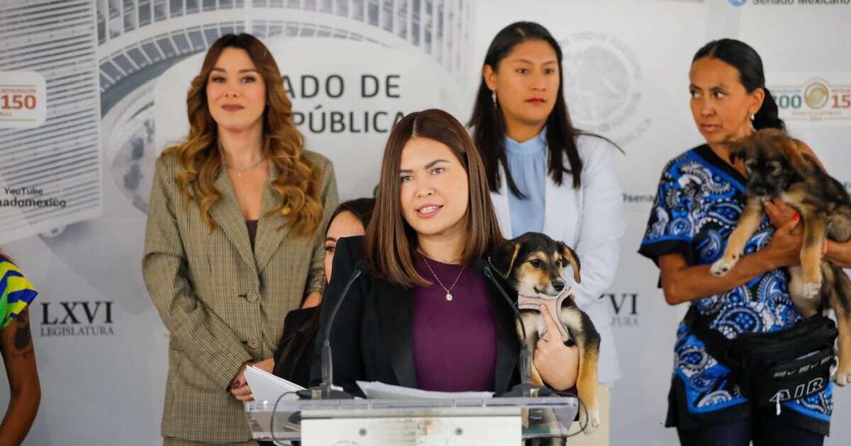 Van por arresto en caso de maltrato animal: Morena propone iniciativa para proteger a las mascotas