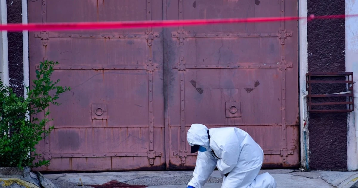 Crimen se une a las campañas en México: Asesinan a 50 políticos en primer trimestre del 2025 