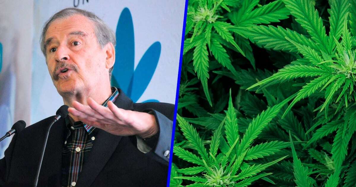 Vicente Fox en defensa de la marihuana: Así inició su lucha por la legalización