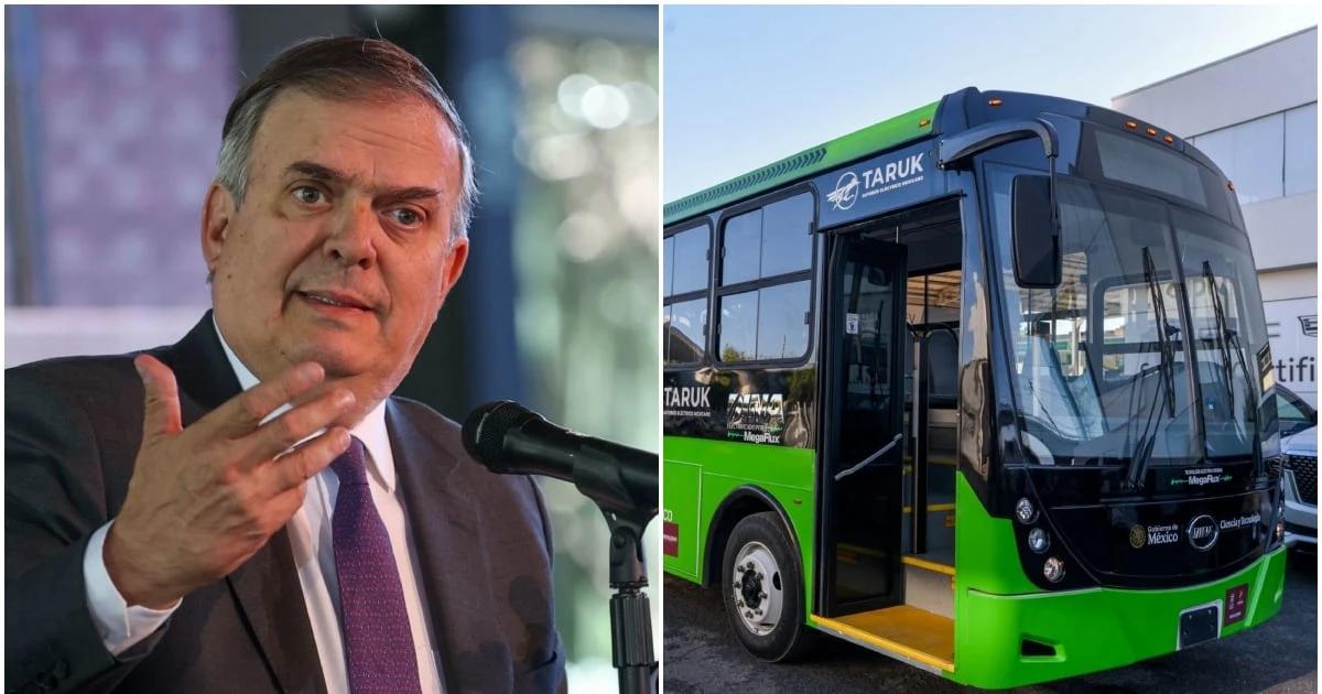 Taruk, el primer autobús eléctrico mexicano, atrae pedidos desde EU: ‘Quieren de 10 a 20 mil’, asegura Ebrard