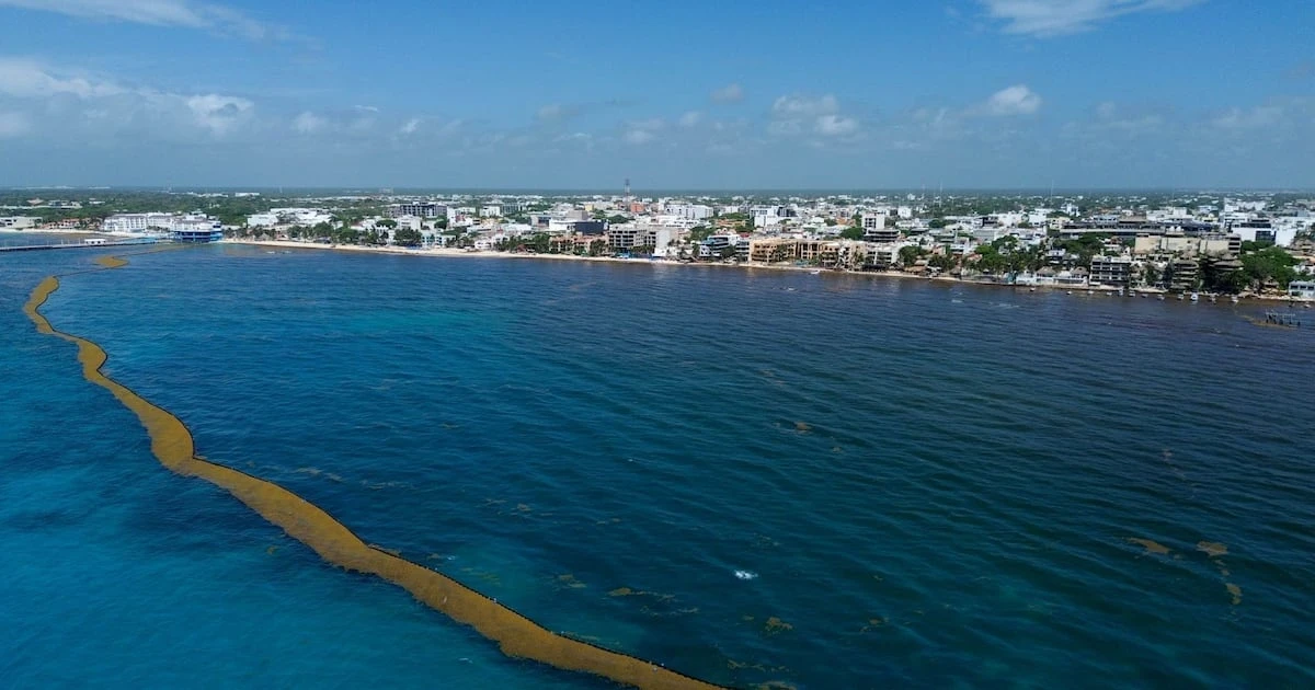 ¿Ahí viene ‘Andrea’? Conagua alerta por posible ciclón en el Atlántico, cerca de Quintana Roo