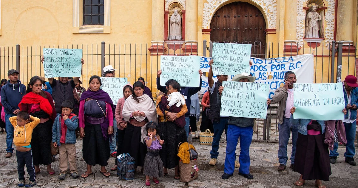 Violencia criminal obliga a 26 mil a huir en México; desplazamientos se duplicaron en 2024