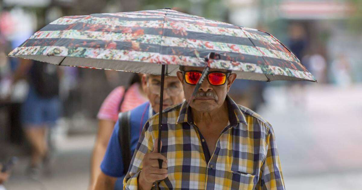 Segunda ola de calor se va, pero llegan las lluvias: ¿En qué estados habrá chubascos fuertes? 