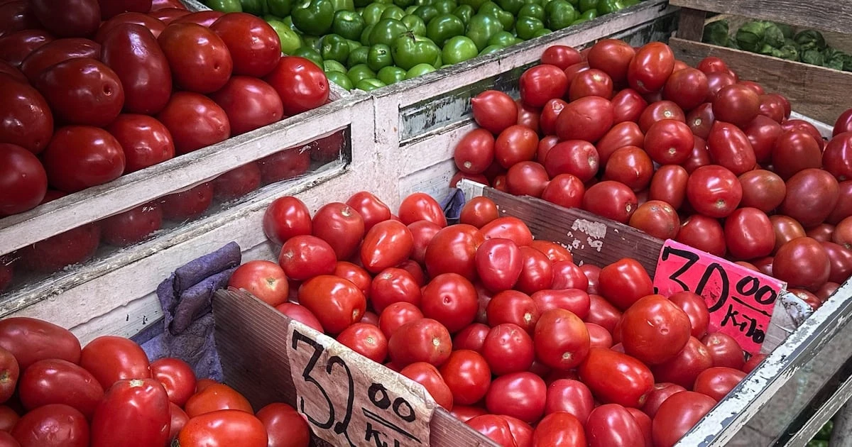 Ya valió ketchup: EU confirma arancel de 17% al jitomate mexicano