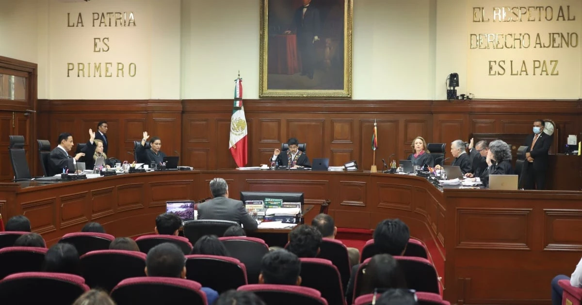 Ministros de SCJN tienen como asesores a morenistas y perdedores de la elección judicial: ¿Quiénes son? 