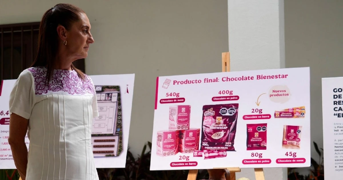 ¿Chocolate Bienestar a Europa? Sheinbaum propone exportar cacao de pequeños productores